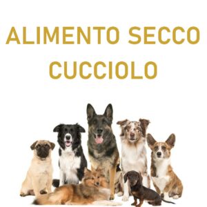 ALIMENTO SECCO CUCCIOLO