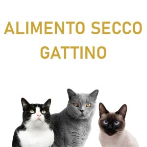 ALIMENTO SECCO GATTINO