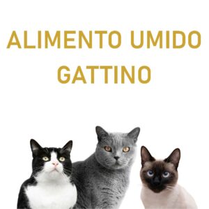 ALIMENTO UMIDO GATTINO