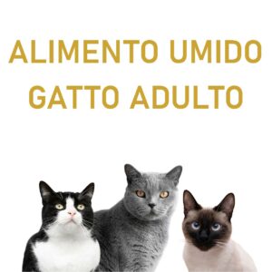 ALIMENTO UMIDO GATTO ADULTO