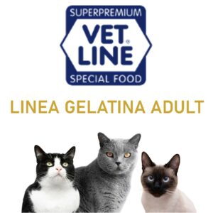 LINEA GELATINA ADULT