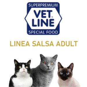 LINEA SALSA ADULT