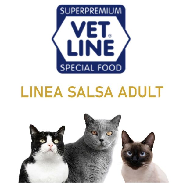 LINEA SALSA ADULT