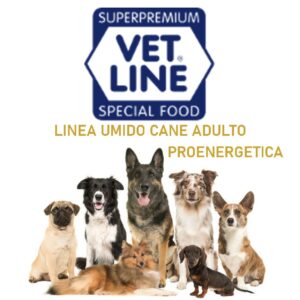 LINEA UMIDO CANE ADULTO PROENERGETICA