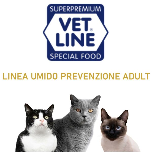 LINEA UMIDO PREVENZIONE ADULT