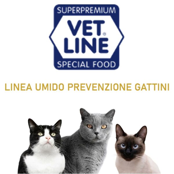 LINEA UMIDO PREVENZIONE GATTINI