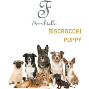 BISCROCCHI PUPPY