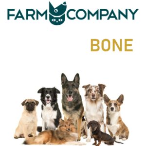 BONE