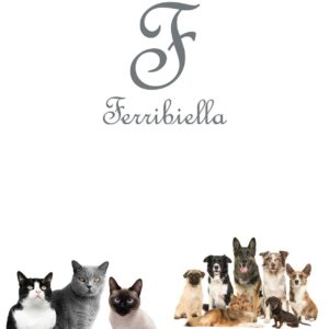 FERRIBIELLA