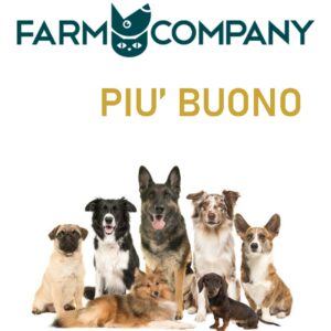 PIU' BUONO