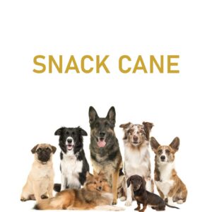 SNACK CANE