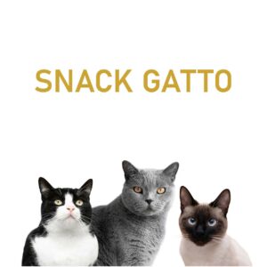 SNACK GATTO