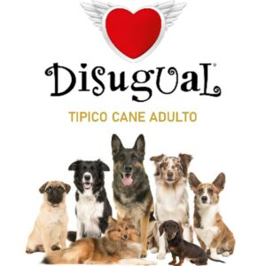 TIPICO CANE ADULTO