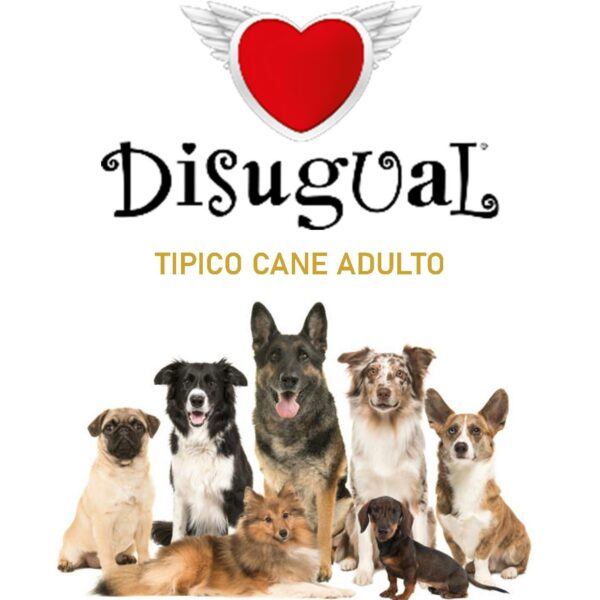 TIPICO CANE ADULTO