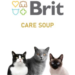 CARE SOUP