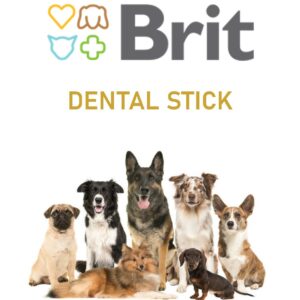 DENTAL STICK