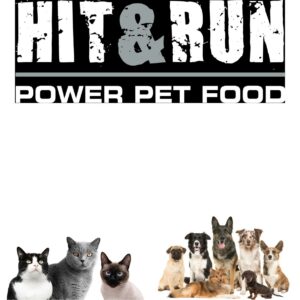 HIT & RUN