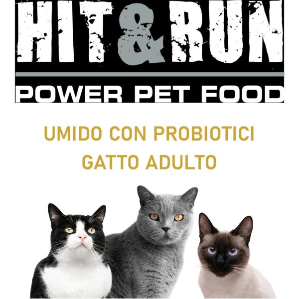 HIT & RUN UMIDO CON PROBIOTICI GATTO ADULTO
