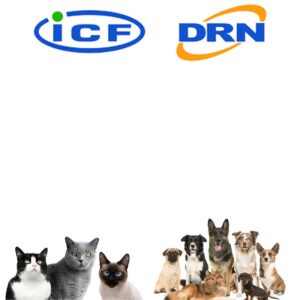 ICF DRN