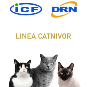 LINEA CATNIVOR