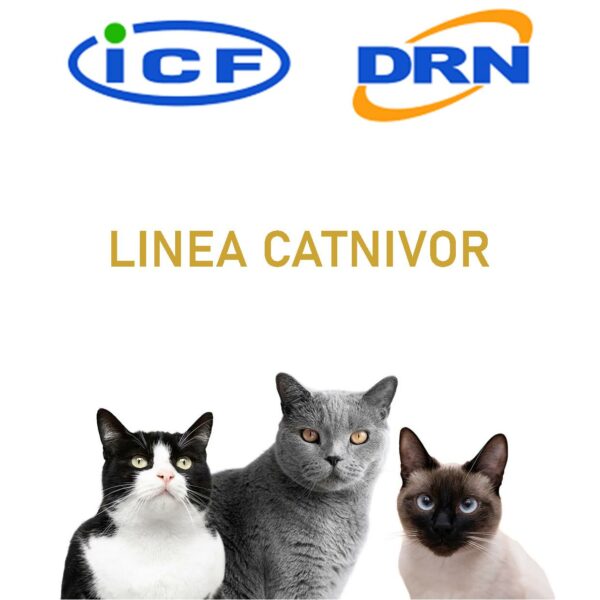 LINEA CATNIVOR
