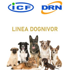 LINEA DOGNIVOR
