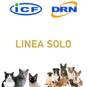 LINEA SOLO